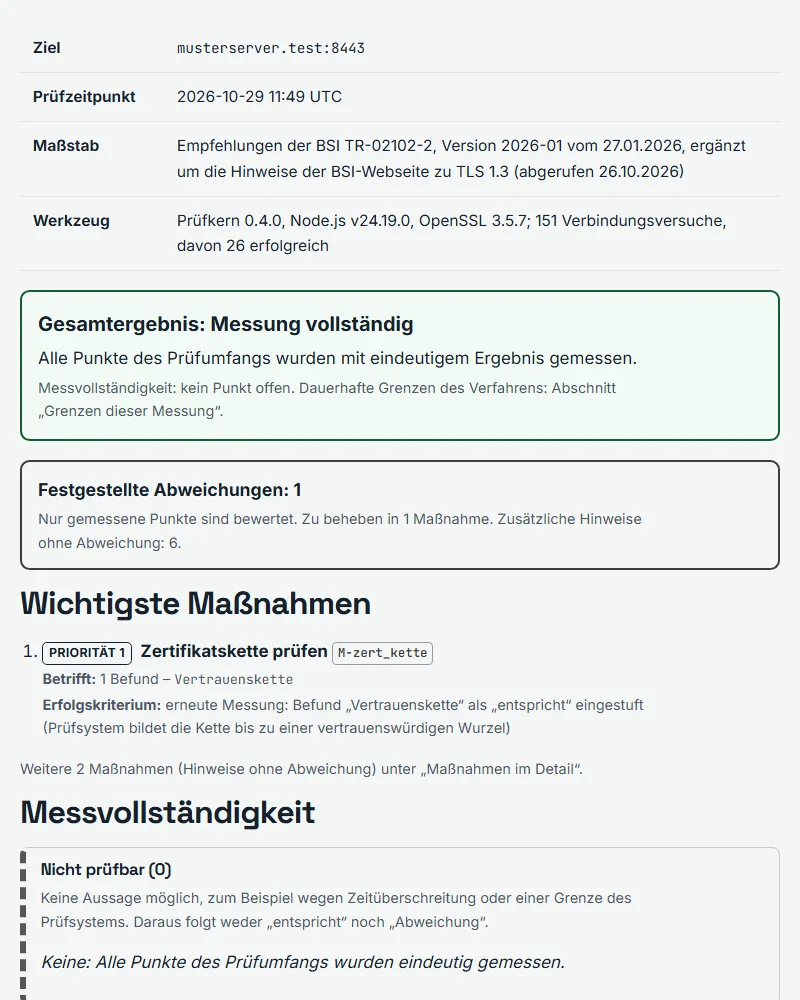 Seite aus dem Musterbericht mit Zusammenfassung und Prüfdaten
